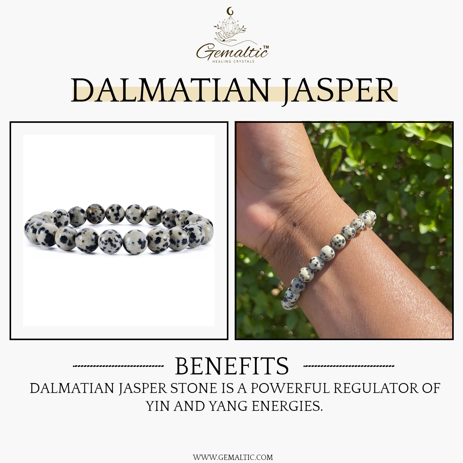2-10-1.jpg Dalmatian Jasper Natural AAA Bracelet
