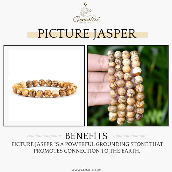 Picture Jasper Stone Natural AAA Bracelet