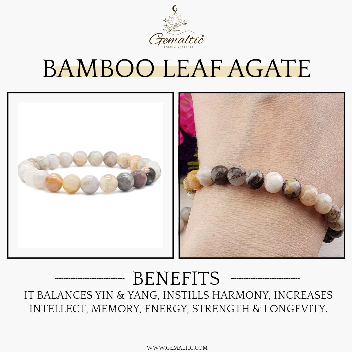 2-5-2.jpg Bamboo Leaf Agate Natural AAA Bracelet