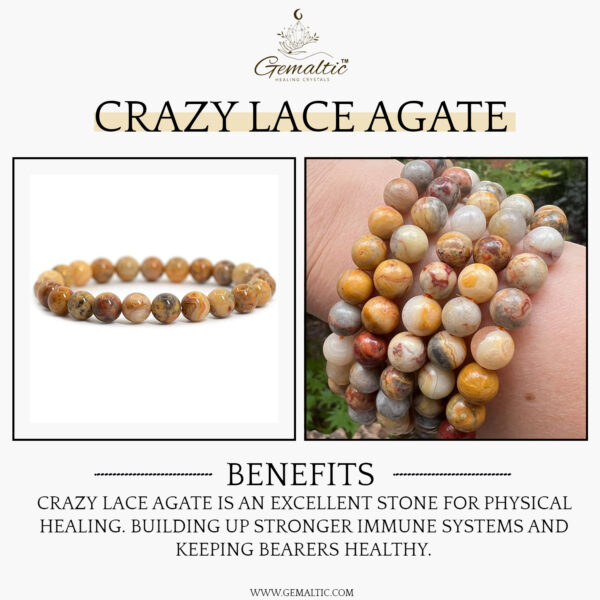 Crazy Lace Agate Natural AAA Bracelet