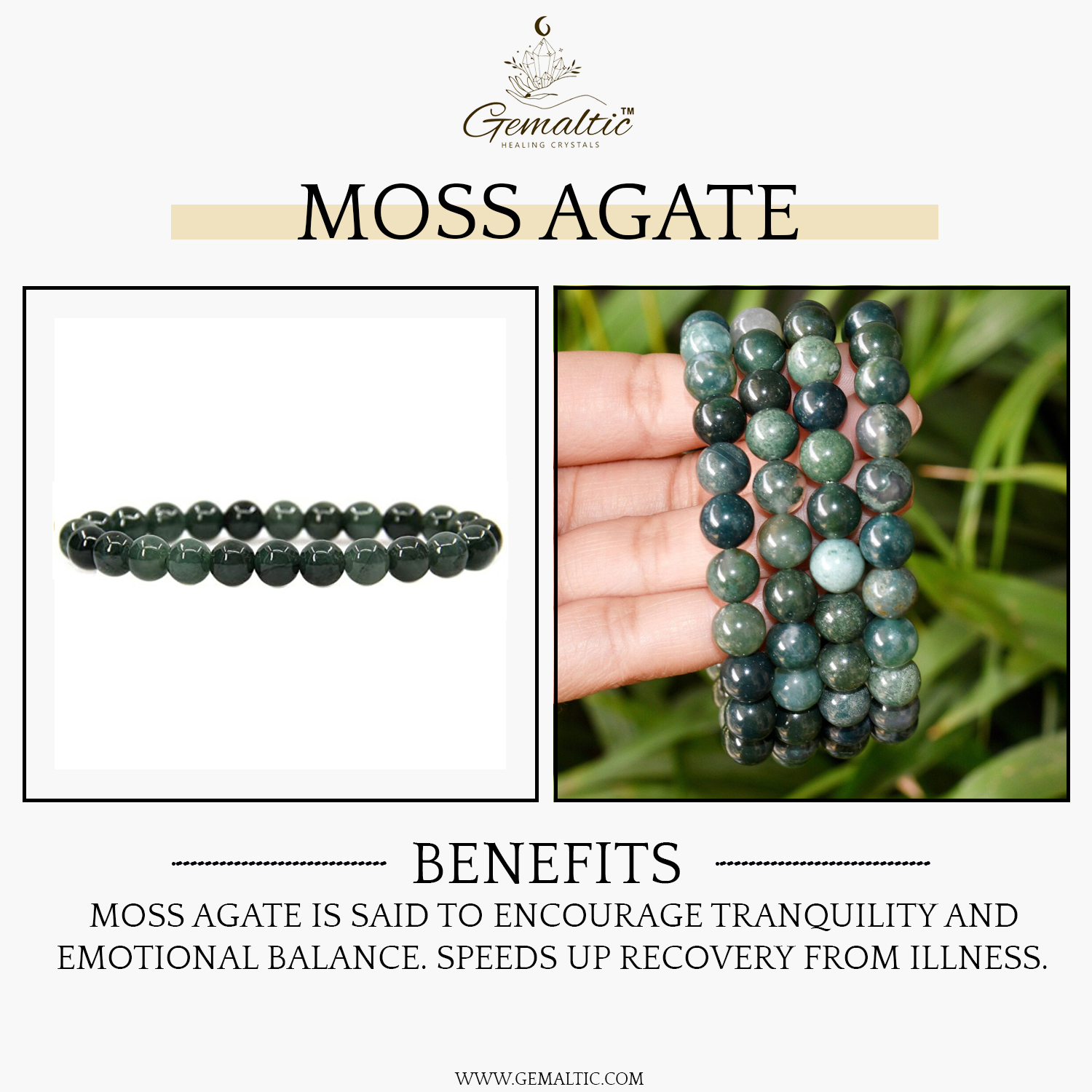 Moss Agate Stone Natural AAA Bracelet