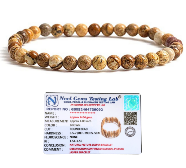 Picture Jasper Stone Natural AAA Bracelet