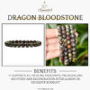 Dragon Bloodstone Natural AAA Bracelet