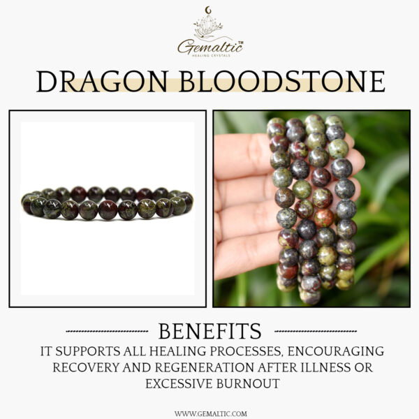 Dragon Bloodstone Natural AAA Bracelet