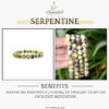 2-49-1.jpg Serpentine Stone Natural AAA Bracelet