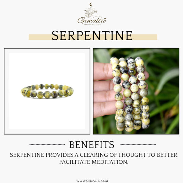 Serpentine Stone Natural AAA Bracelet