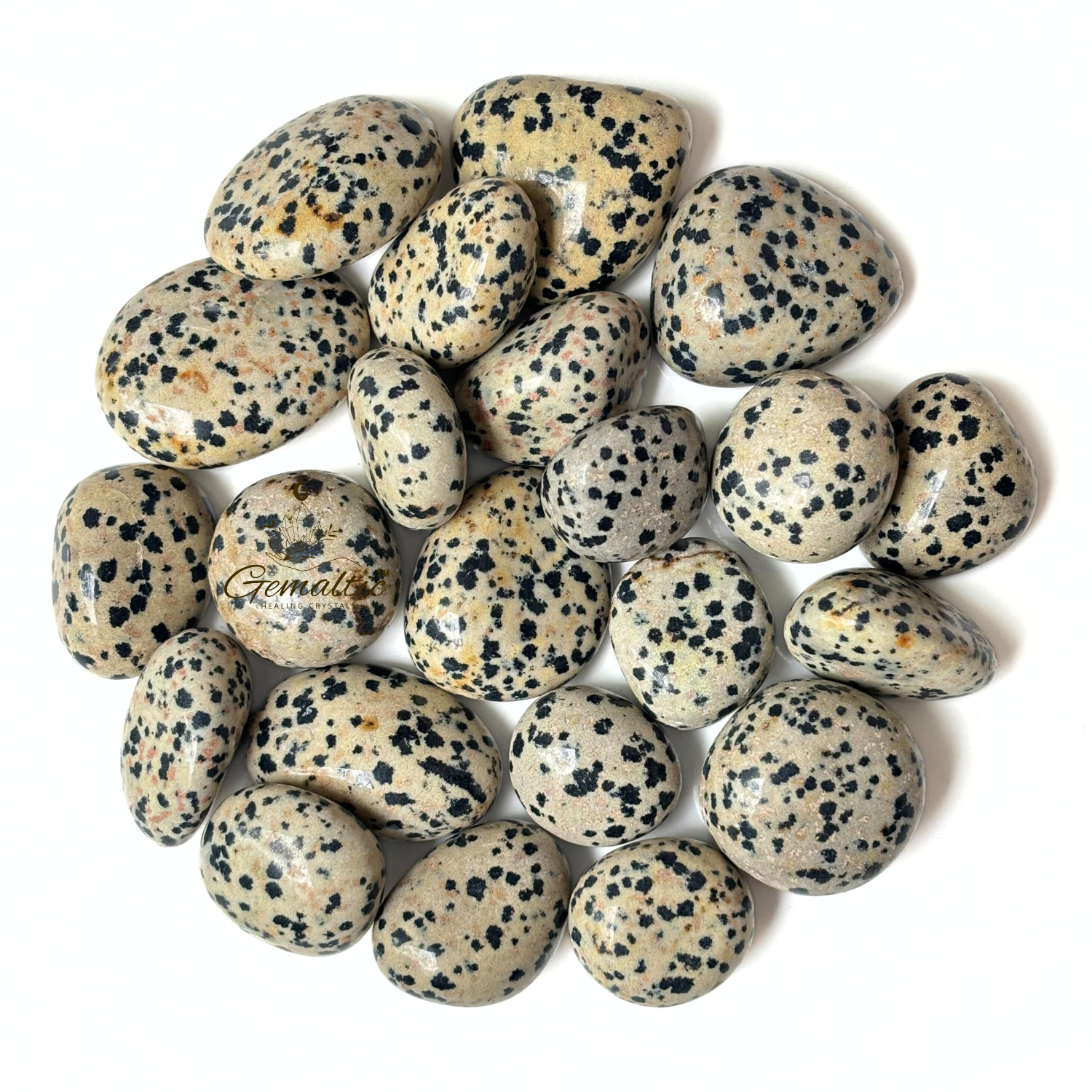 3 Dalmatian Jasper Tumbled Stone