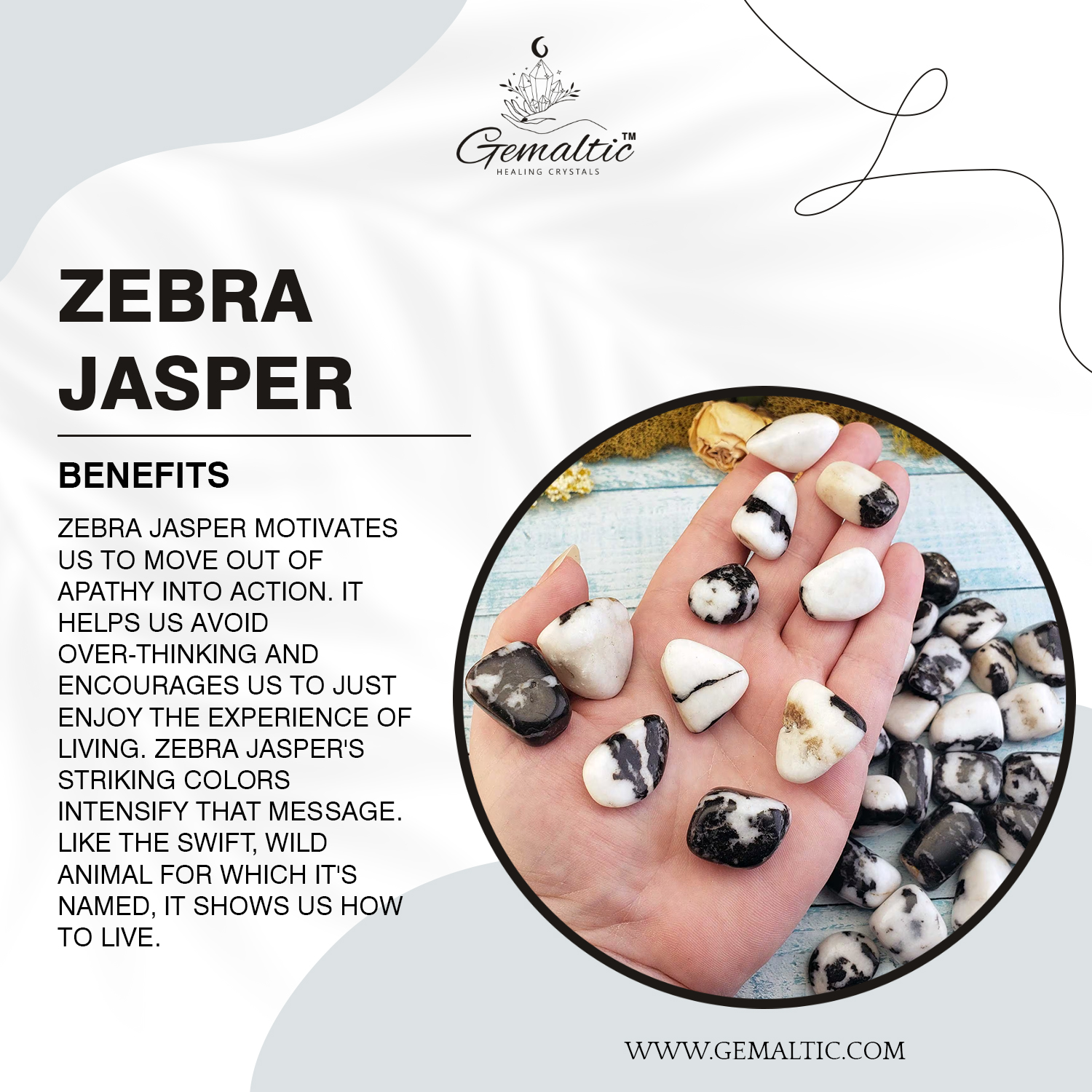 Zebra Jasper Tumbled Stone