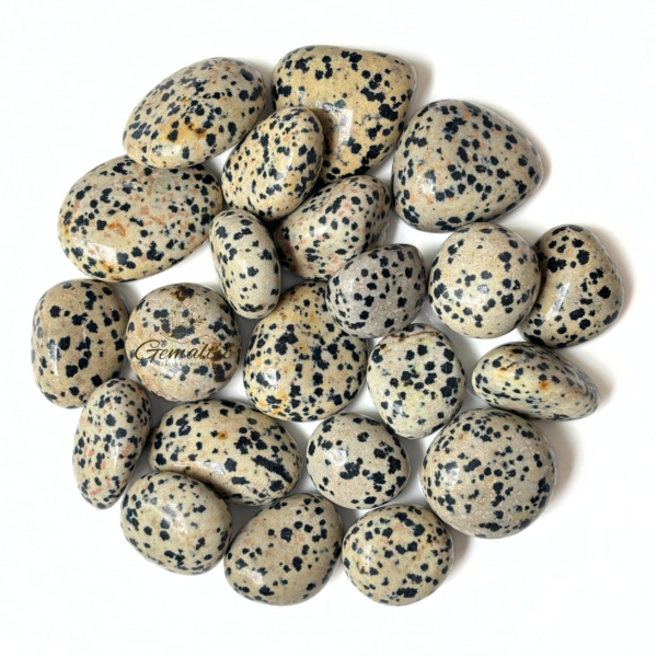 Dalmatian Jasper Tumbled Stone