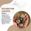 Dalmatian Jasper Tumbled Stone