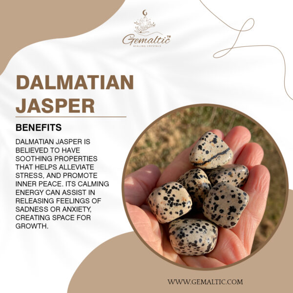 Dalmatian Jasper Tumbled Stone