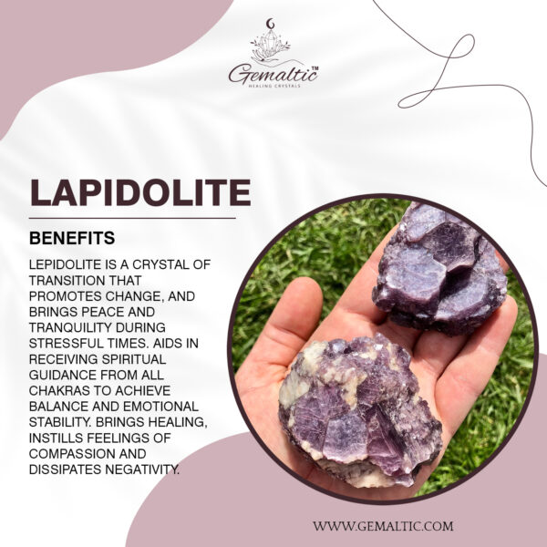 Lepidolite Tumbled Stone