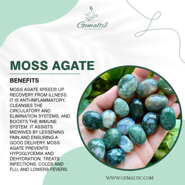 Moss Agate Tumbled Stone