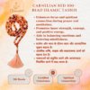 Carnelian Carnelian Tasbih