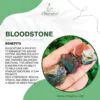 Bloodstone Tumbled Stone